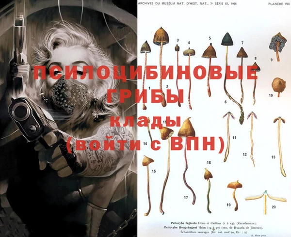 прущие крисы Алексеевка