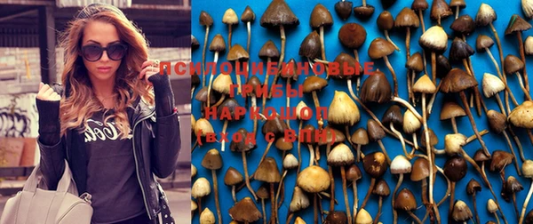 прущие крисы Алексеевка